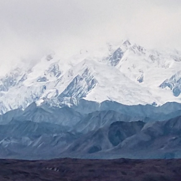 Meet your Posher, Donald - Picture 1 of 1